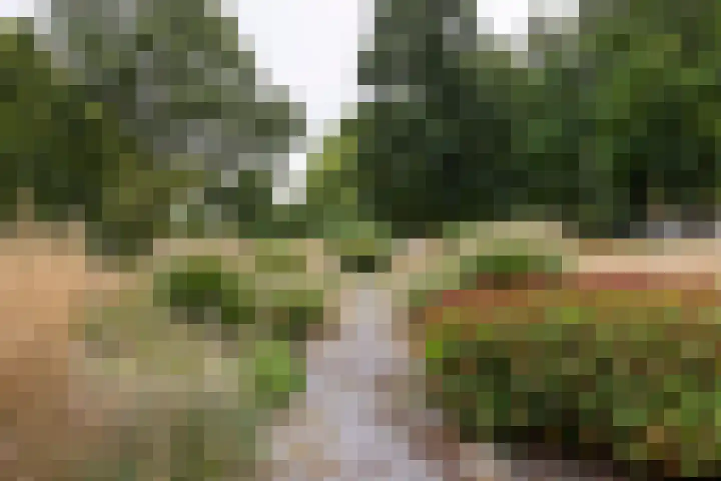 Friedalaan 117 Zwanenburg thumbnail 21