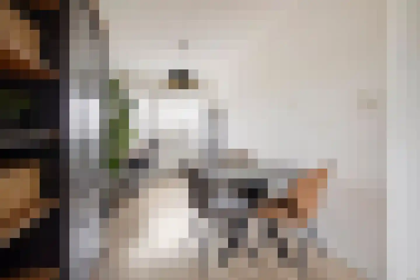 Friedalaan 117 Zwanenburg thumbnail 6