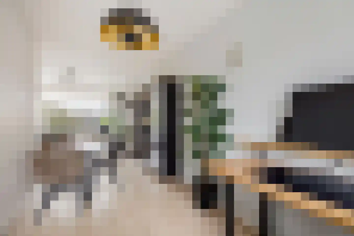 Friedalaan 117 Zwanenburg thumbnail 8