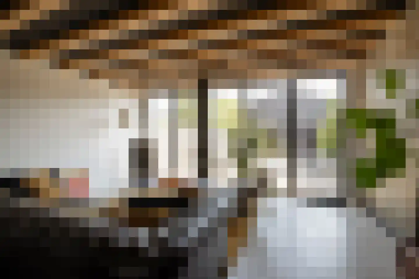 Friedalaan 13 Zwanenburg thumbnail 10