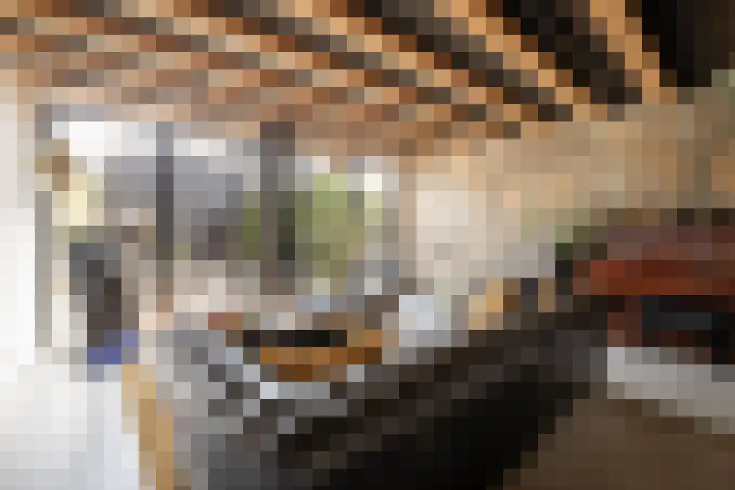 Friedalaan 13 Zwanenburg thumbnail 11