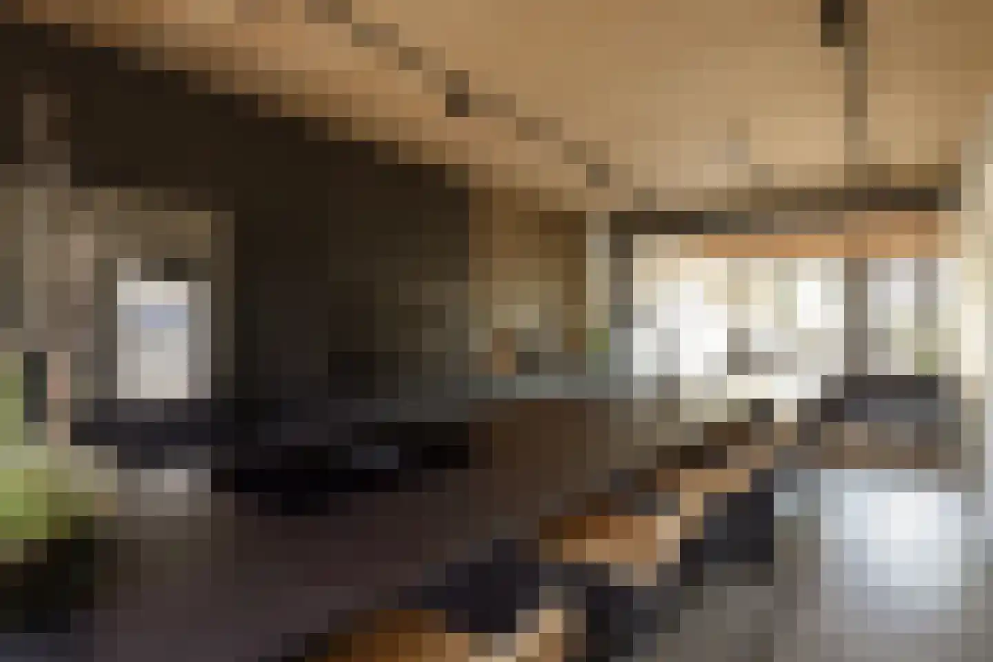 Friedalaan 13 Zwanenburg thumbnail 17