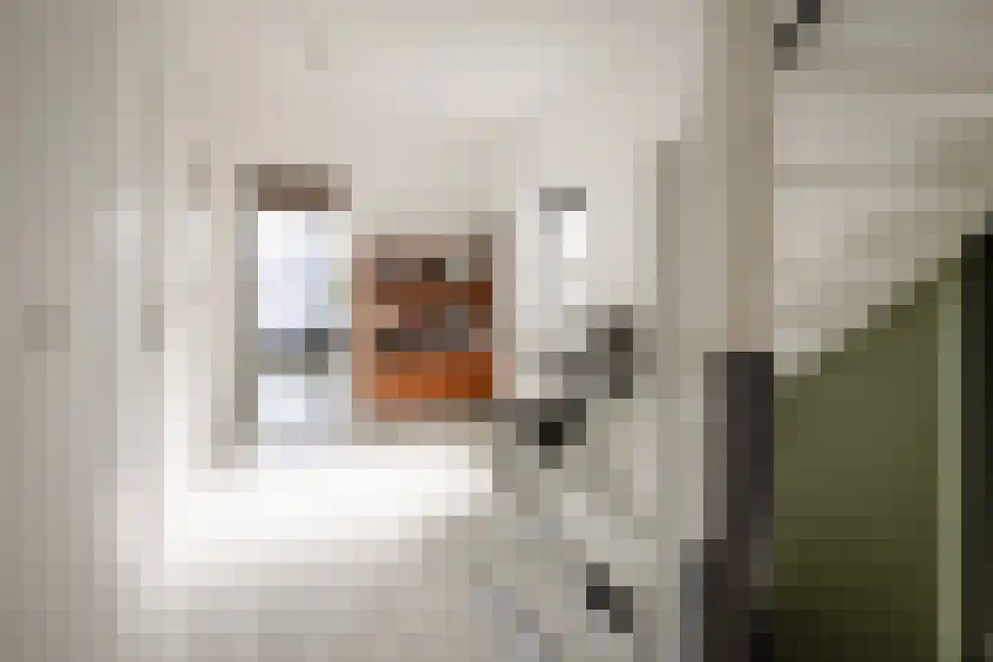 Friedalaan 13 Zwanenburg thumbnail 34