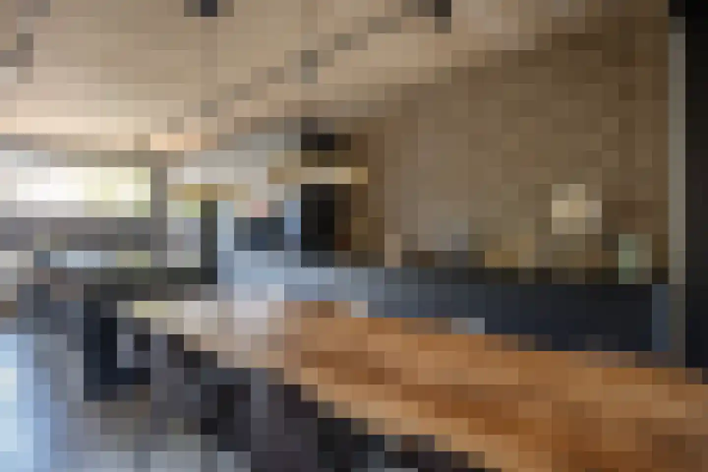 Friedalaan 13 Zwanenburg thumbnail 4