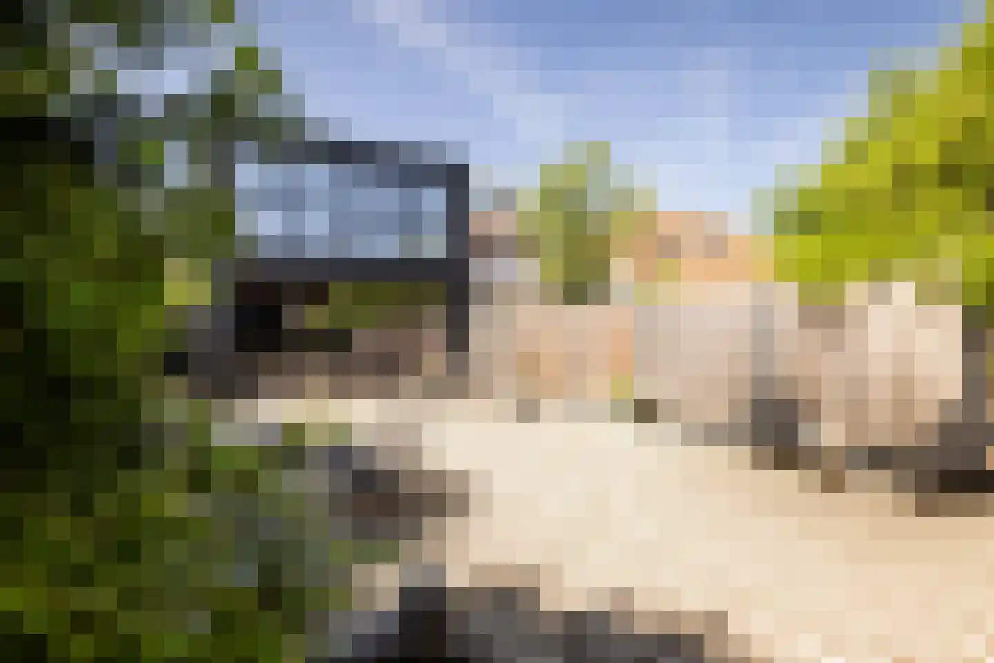 Friedalaan 13 Zwanenburg thumbnail 41