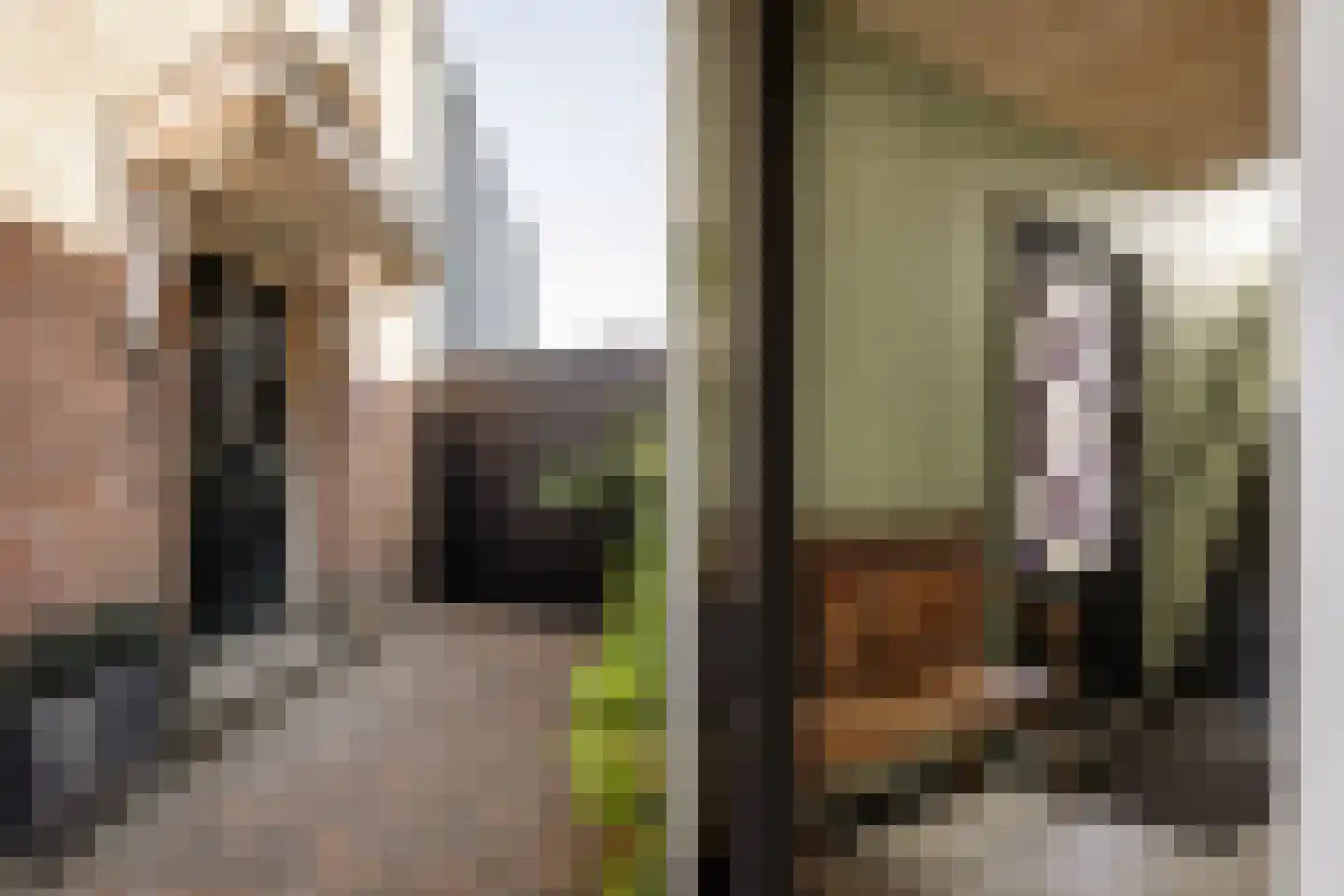 Friedalaan 13 Zwanenburg thumbnail 6