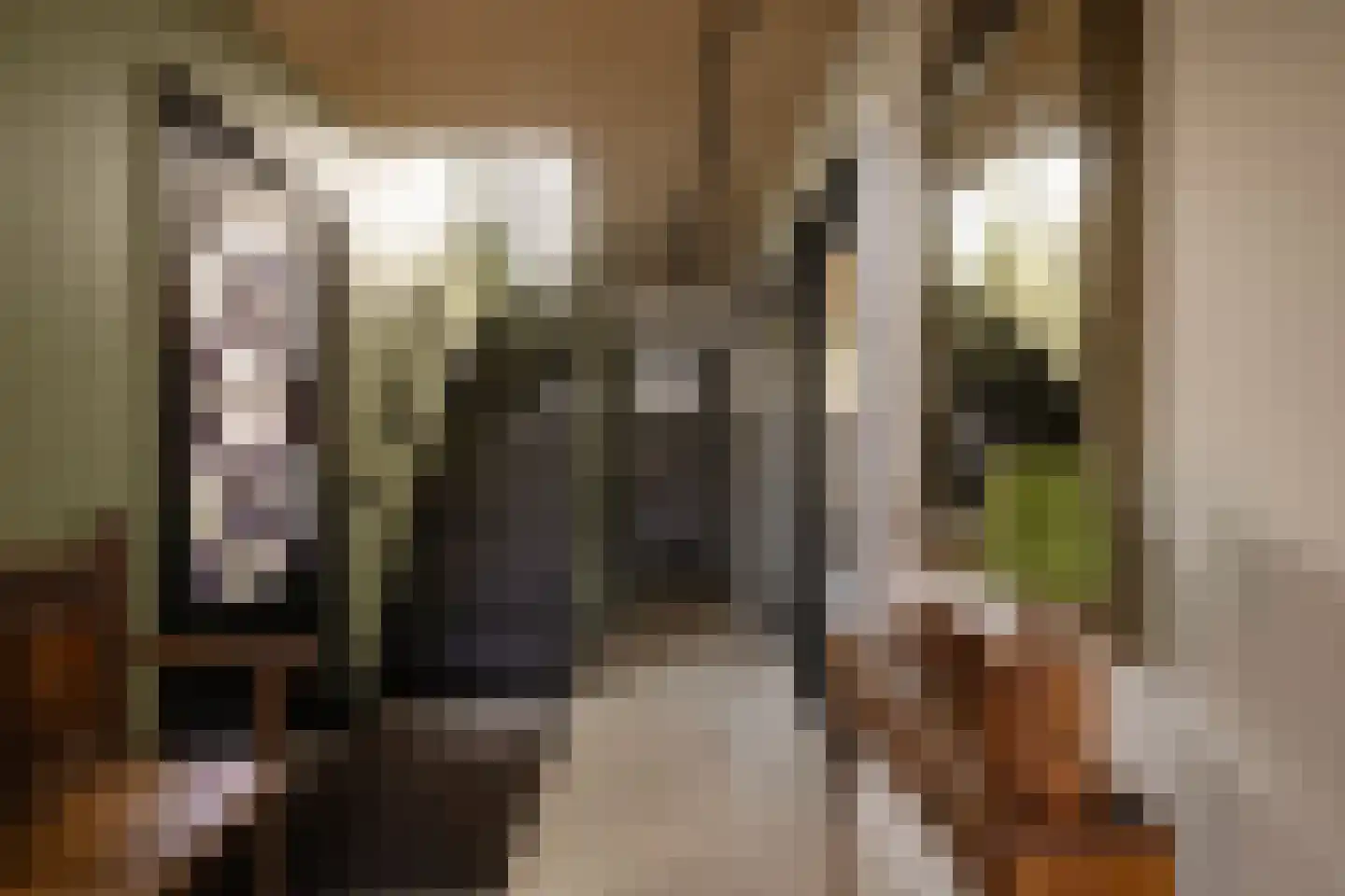 Friedalaan 13 Zwanenburg thumbnail 7