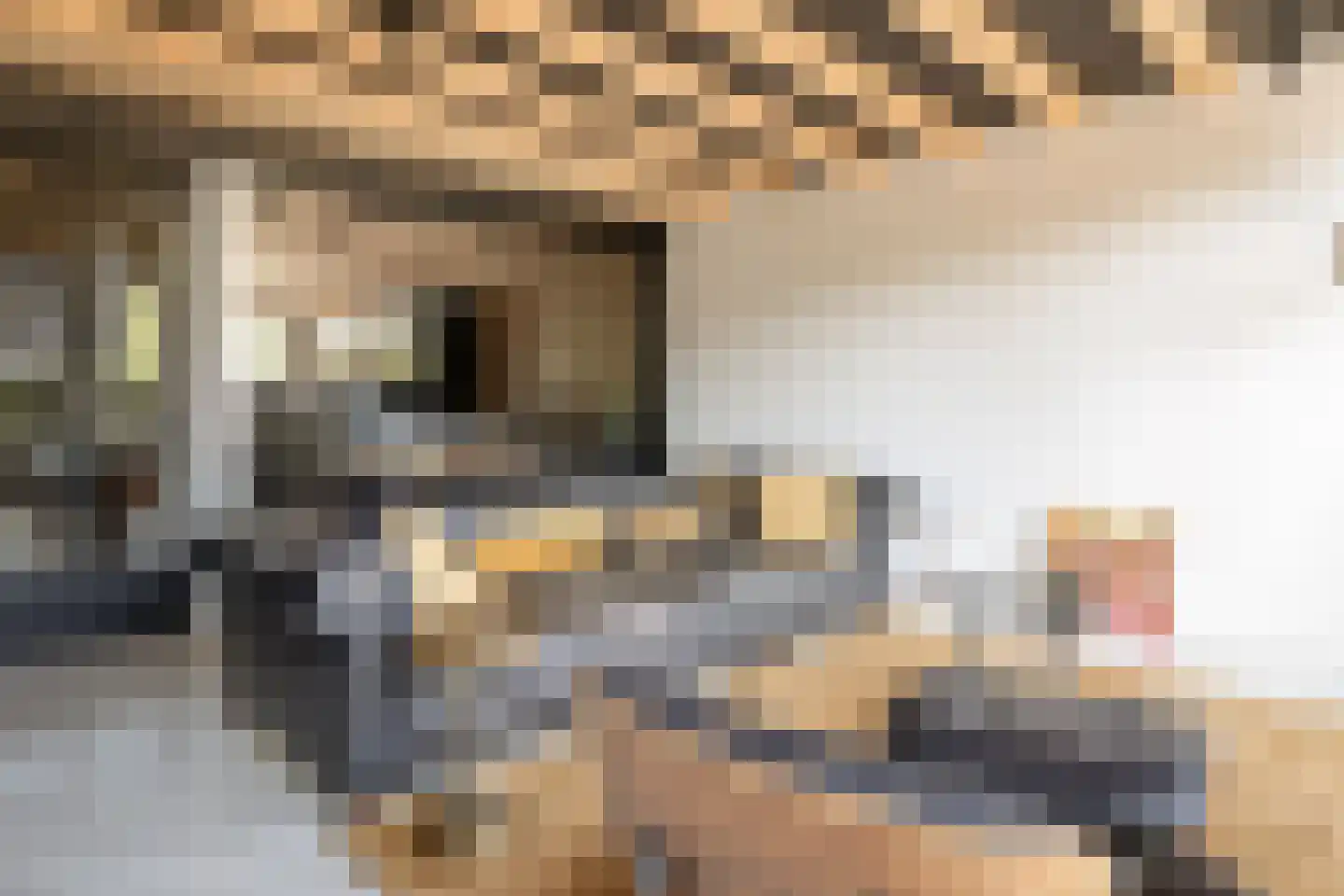 Friedalaan 13 Zwanenburg thumbnail 9