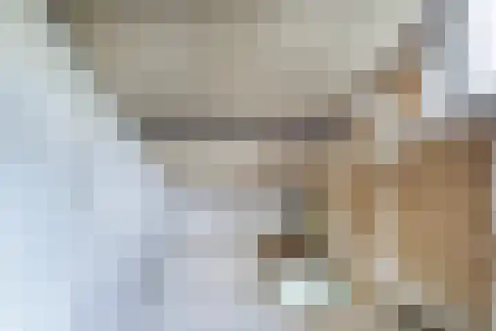 Friedalaan 35 Zwanenburg