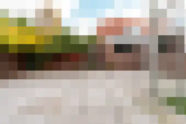 Friedalaan 35 Zwanenburg thumbnail 34