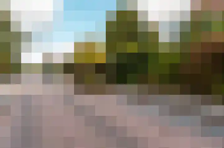 Friedalaan 35 Zwanenburg thumbnail 36