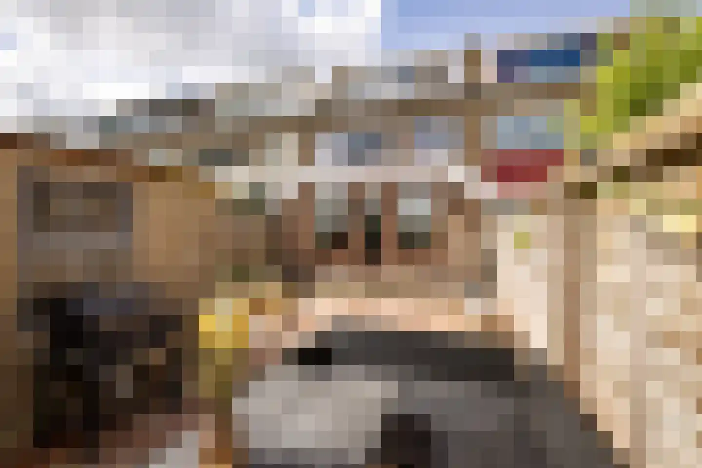 Friedalaan 55 Zwanenburg thumbnail 17