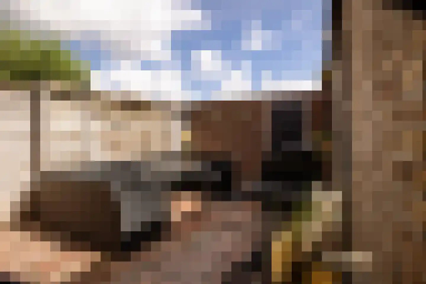 Friedalaan 55 Zwanenburg thumbnail 19