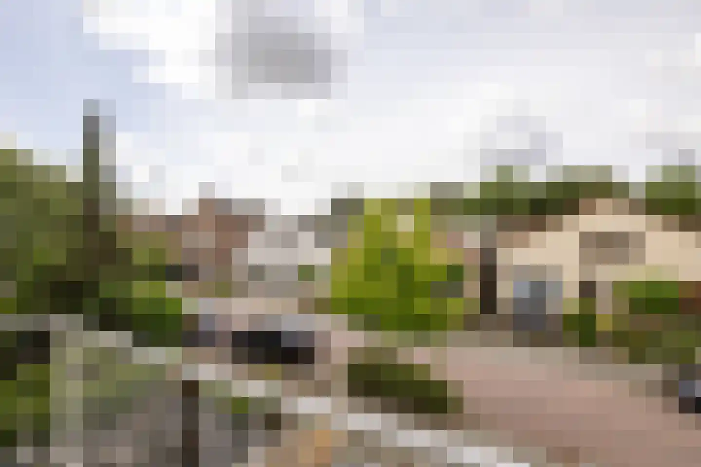 Friedalaan 55 Zwanenburg thumbnail 27