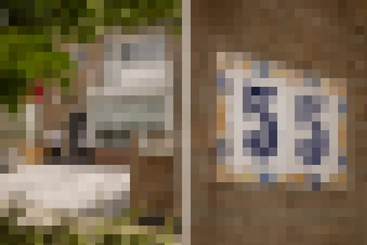 Friedalaan 55 Zwanenburg thumbnail 6