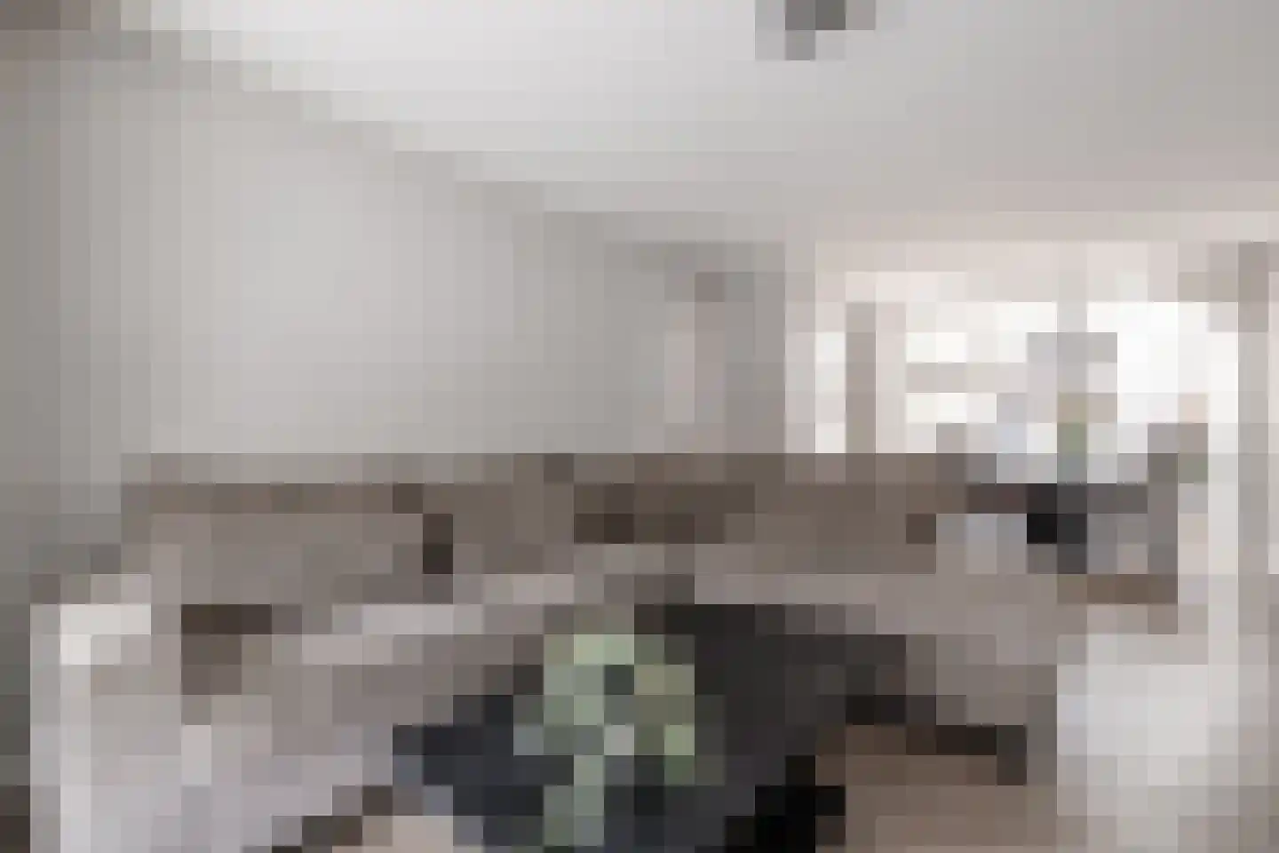 Friedalaan 55 Zwanenburg thumbnail 8