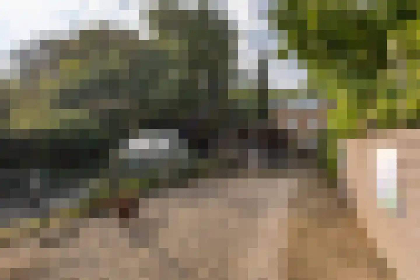 Friedalaan 62 Zwanenburg thumbnail 31