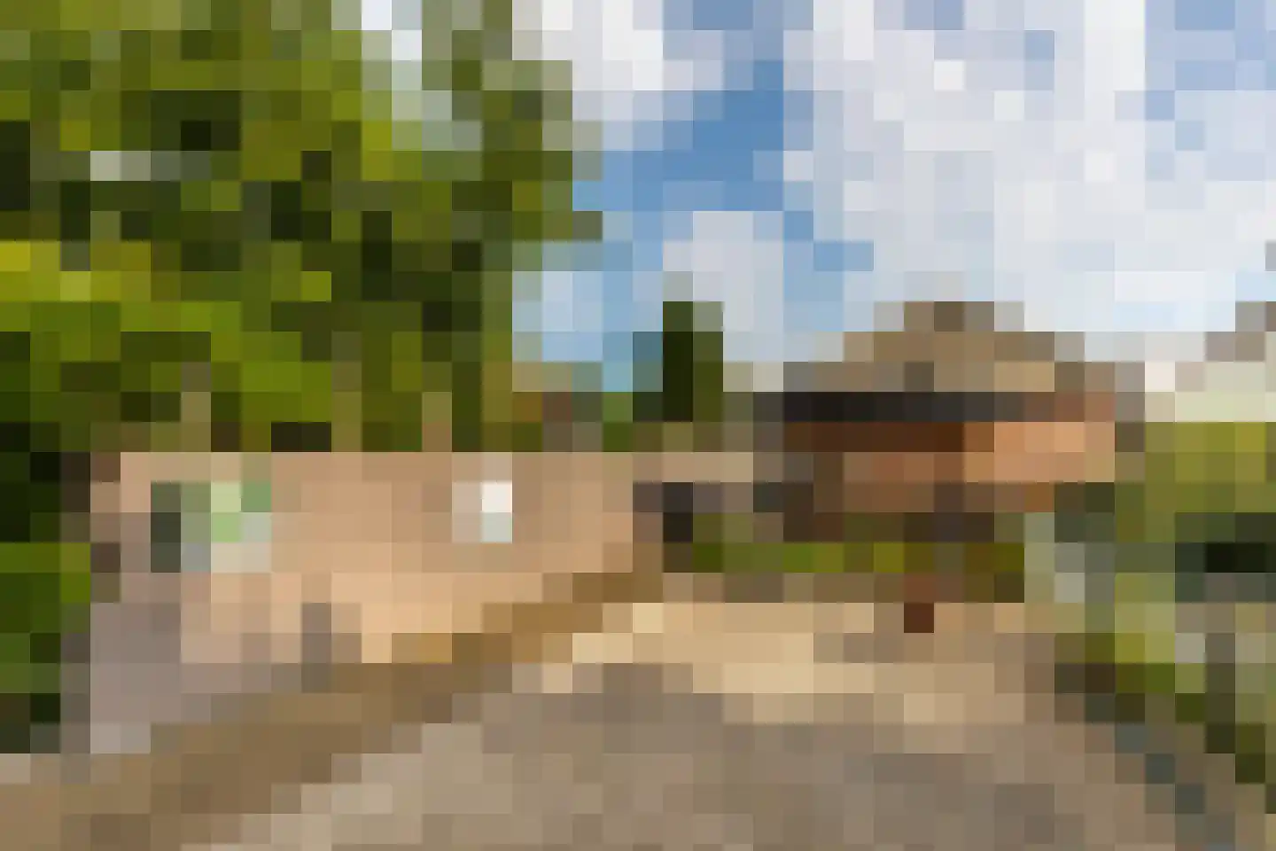 Friedalaan 62 Zwanenburg thumbnail 32