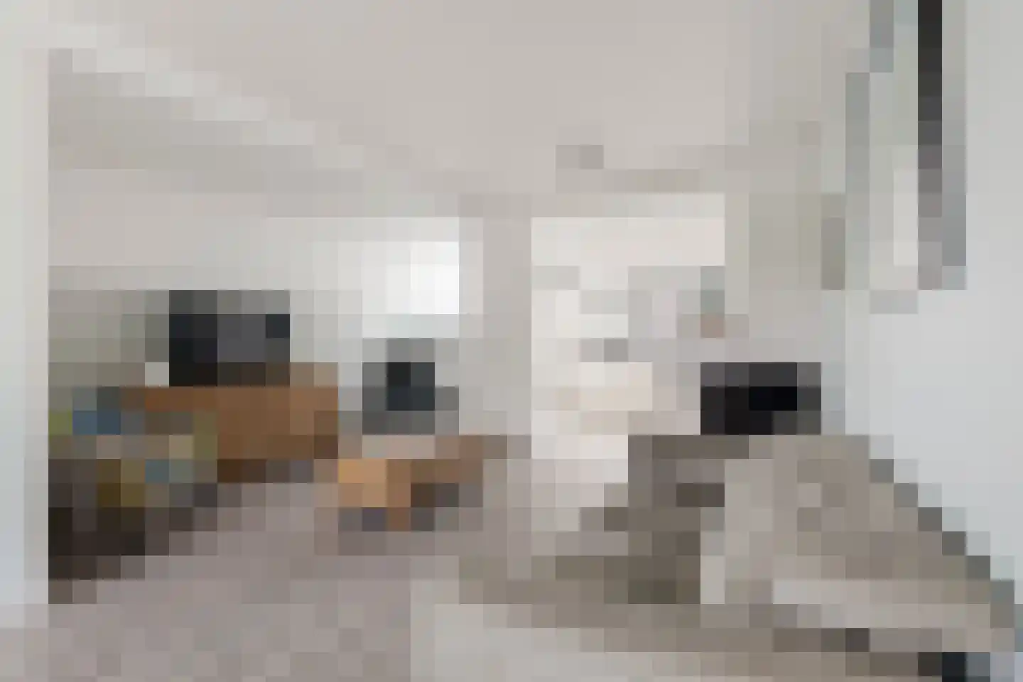 Friedalaan 62 Zwanenburg thumbnail 5