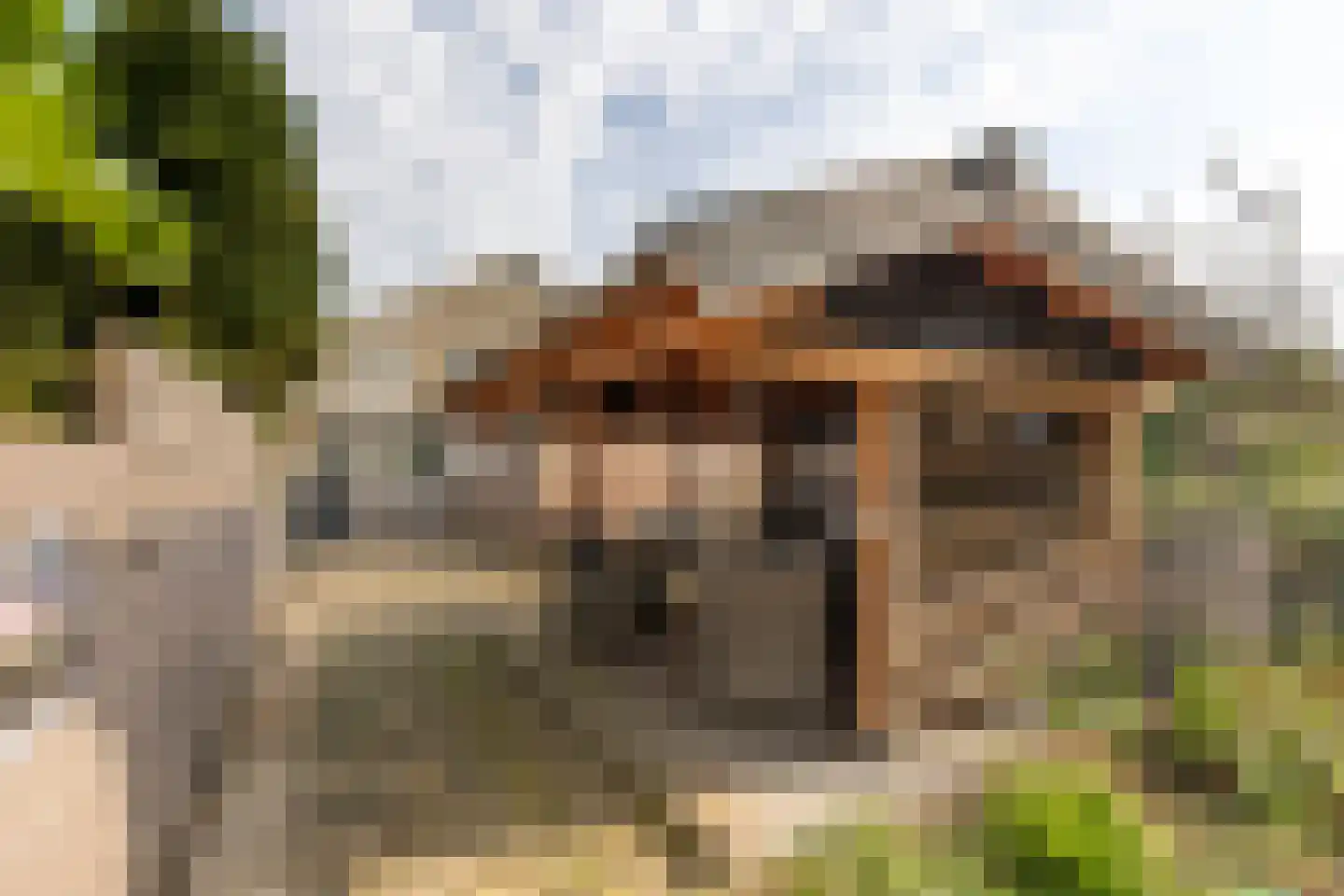 Friedalaan 62 Zwanenburg thumbnail 7