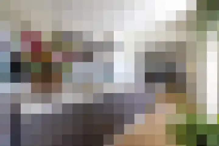 Frielinkstraat 1 D Doetinchem thumbnail 13