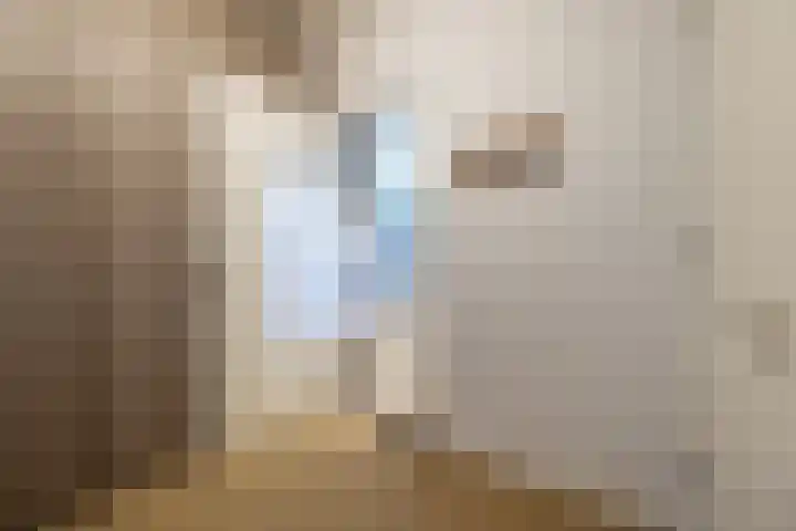 Frielinkstraat 1 D Doetinchem thumbnail 33