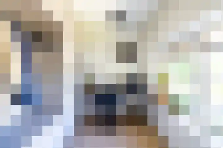 Frielinkstraat 1 D Doetinchem thumbnail 42
