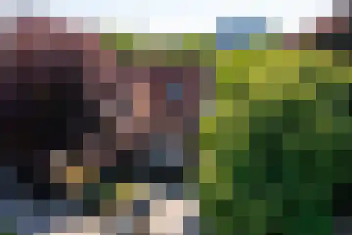 Frielinkstraat 1 D Doetinchem thumbnail 62