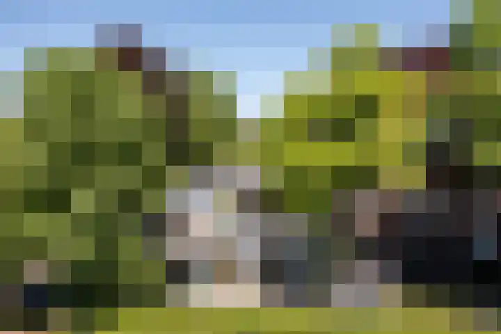 Frielinkstraat 1 D Doetinchem thumbnail 65