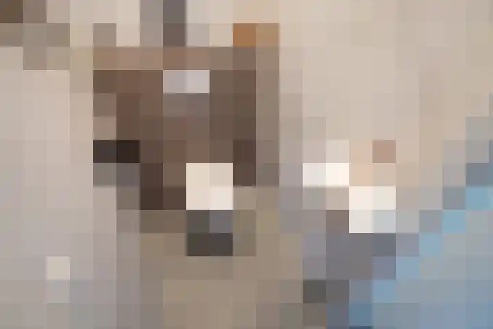Friendshipring 118 Nootdorp thumbnail 26