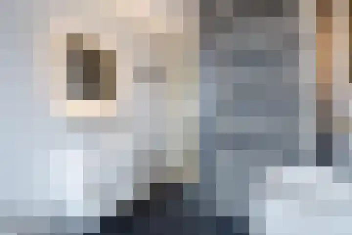 Friendshipring 118 Nootdorp thumbnail 32