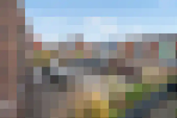 Friendshipring 118 Nootdorp thumbnail 43