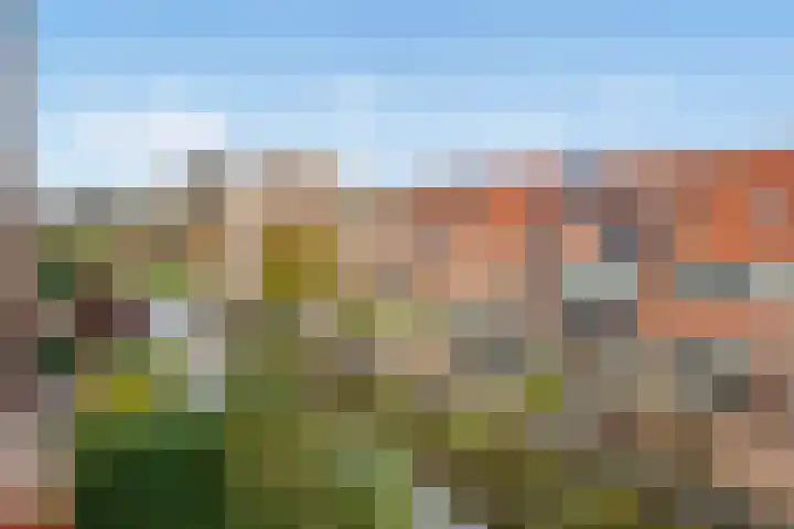 Friendshipring 118 Nootdorp thumbnail 44