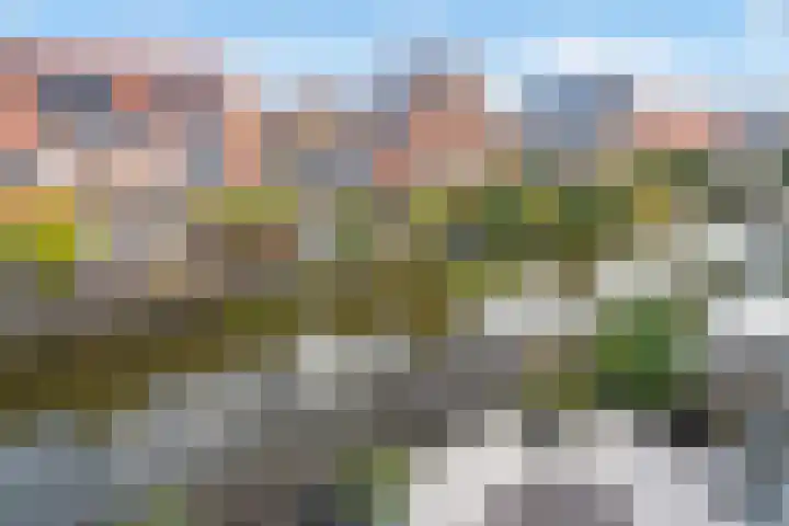 Friendshipring 118 Nootdorp thumbnail 45