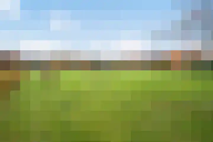 Friendshipring 118 Nootdorp thumbnail 48