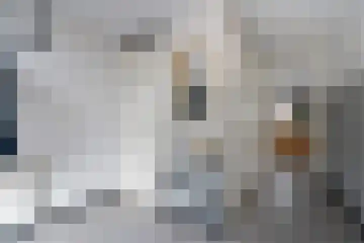Friendshipring 118 Nootdorp thumbnail 5