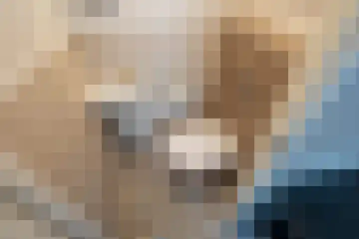 Friendshipring 118 Nootdorp thumbnail 6