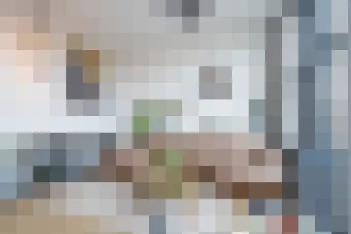Friendshipring 118 Nootdorp thumbnail 7