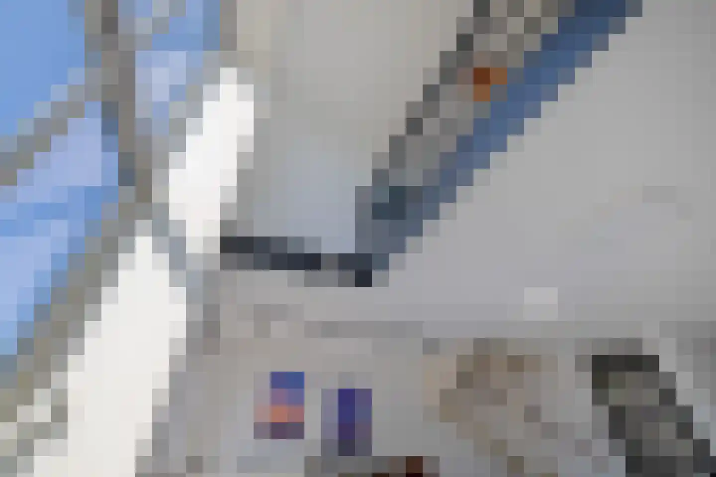 Friendshipring 16 Nootdorp thumbnail 13