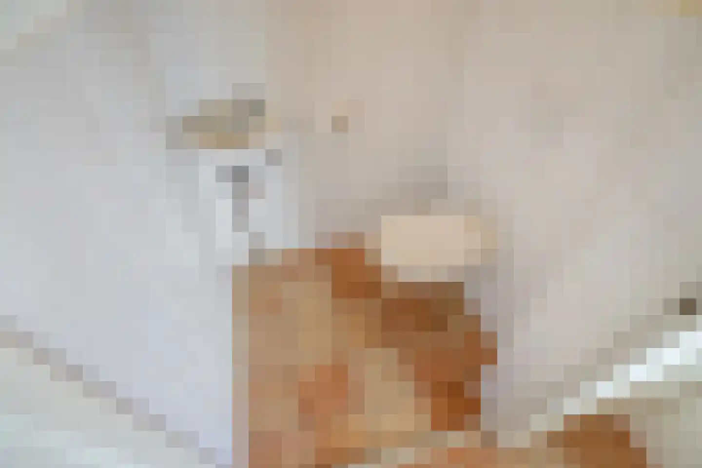 Friendshipring 7 Nootdorp thumbnail 10