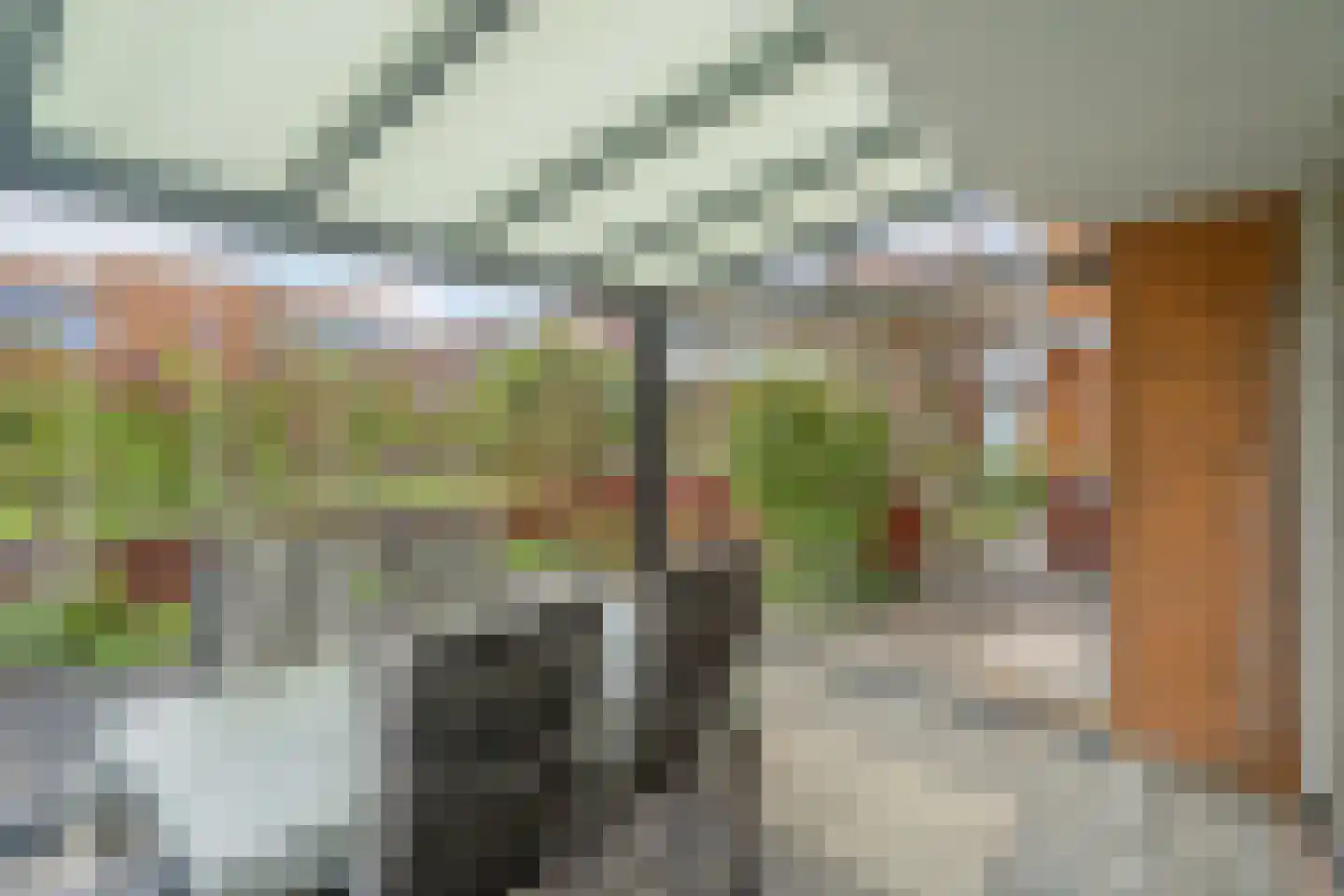 Friendshipring 7 Nootdorp thumbnail 19