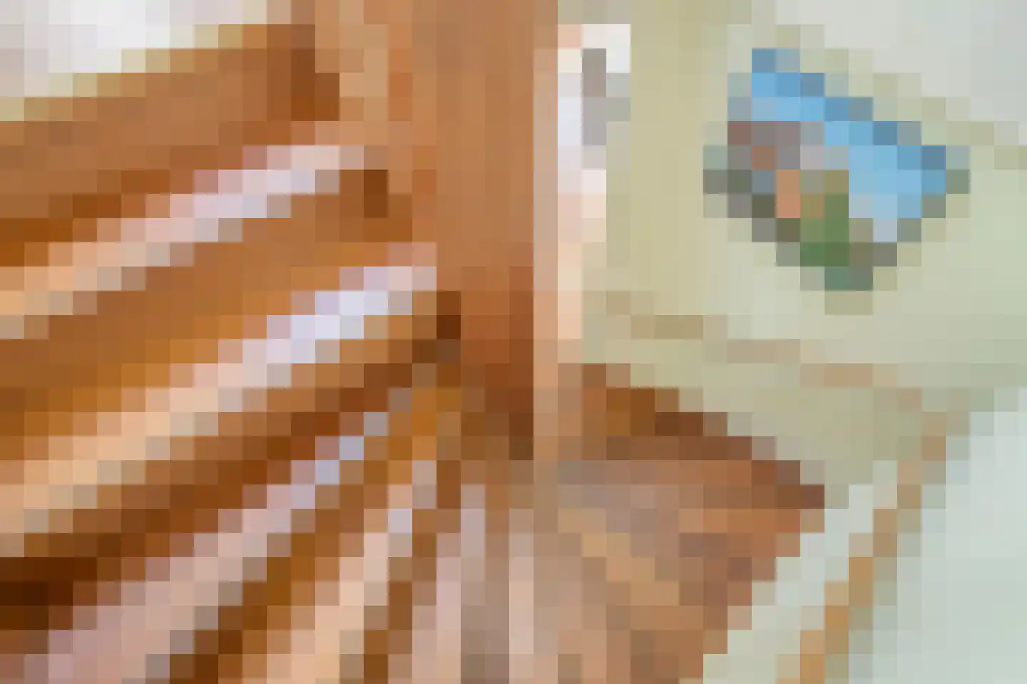 Friendshipring 7 Nootdorp thumbnail 27