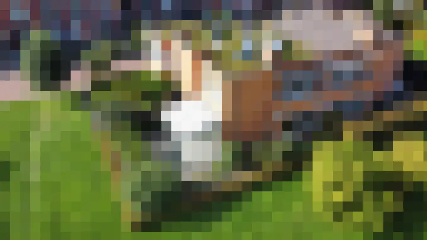 Friendshipring 7 Nootdorp thumbnail 54