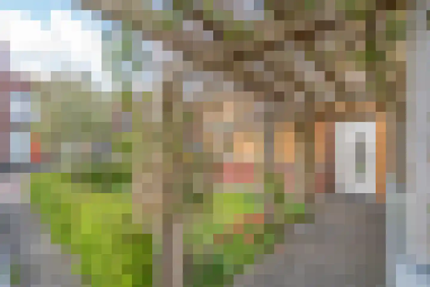Friendshipring 7 Nootdorp thumbnail 7