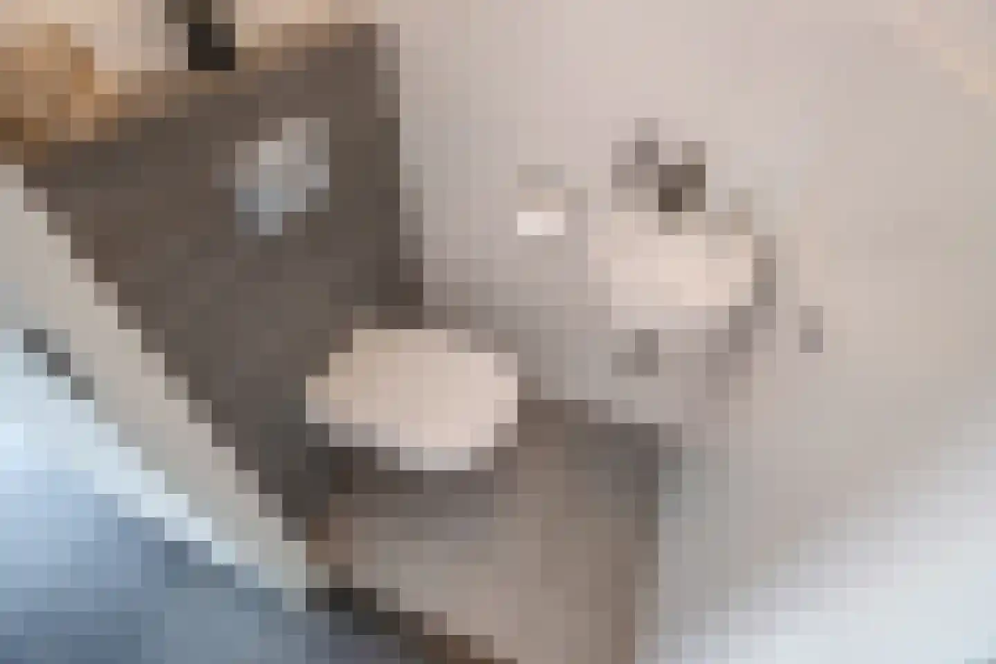Friendshipring 98 Nootdorp thumbnail 11