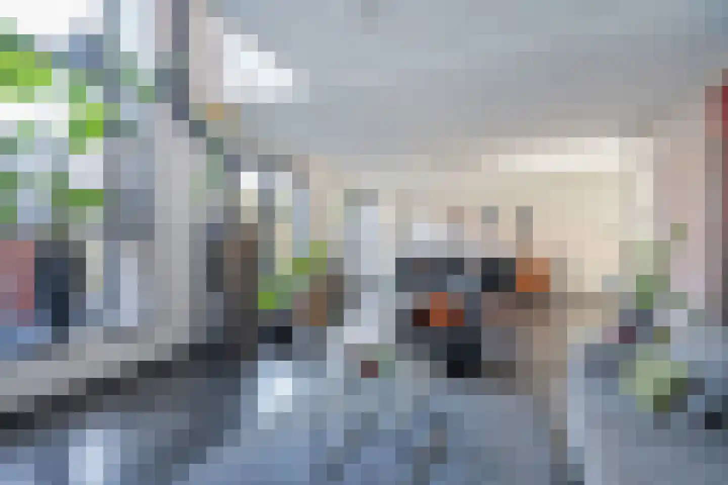 Friendshipring 98 Nootdorp thumbnail 15