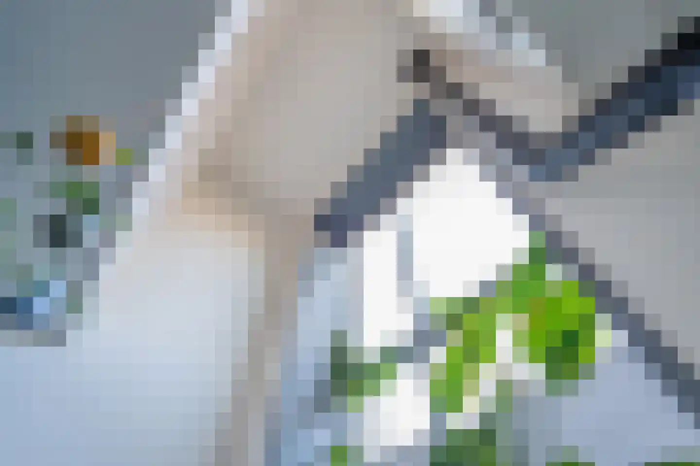 Friendshipring 98 Nootdorp thumbnail 18