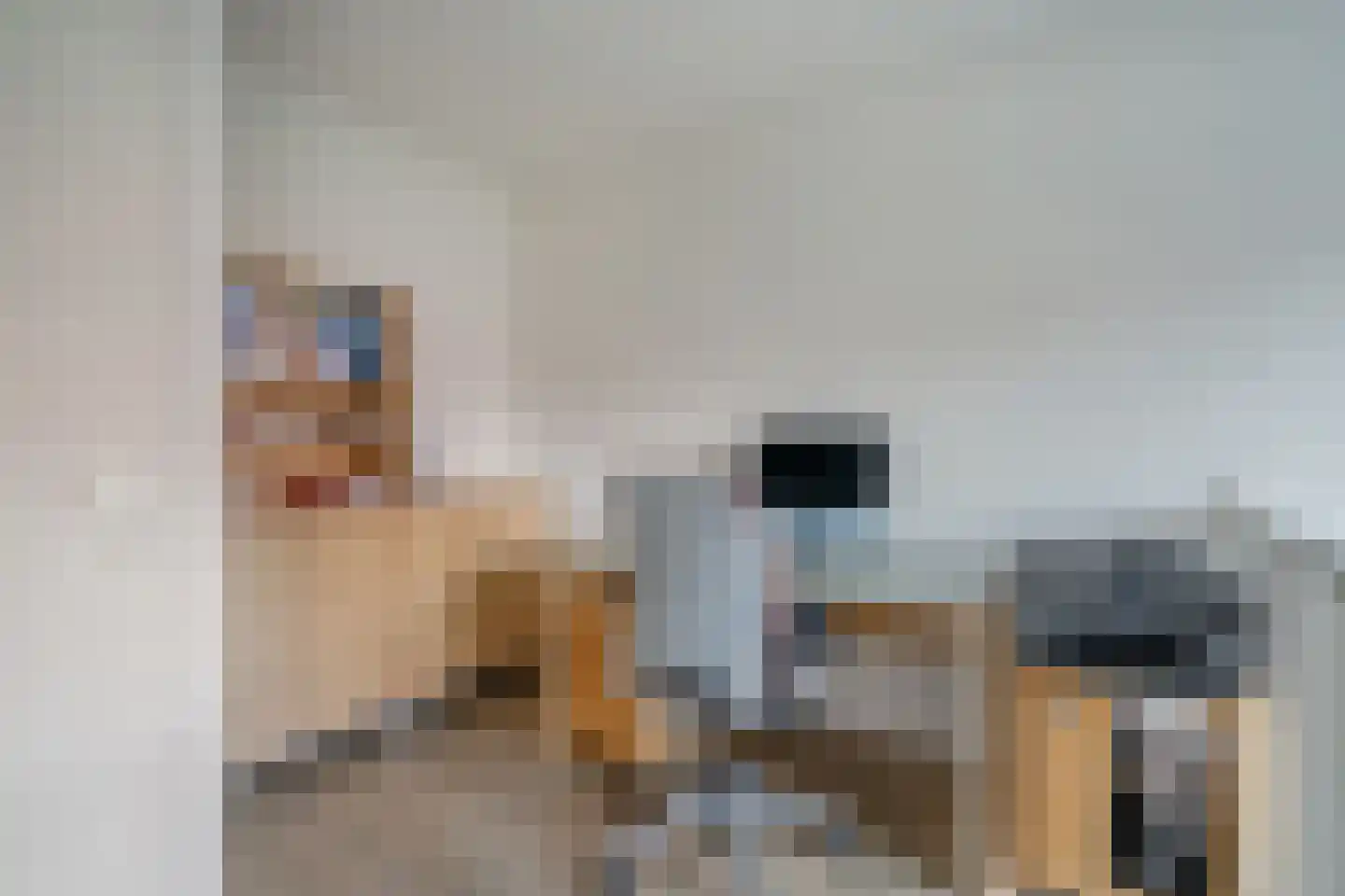 Friendshipring 98 Nootdorp thumbnail 33