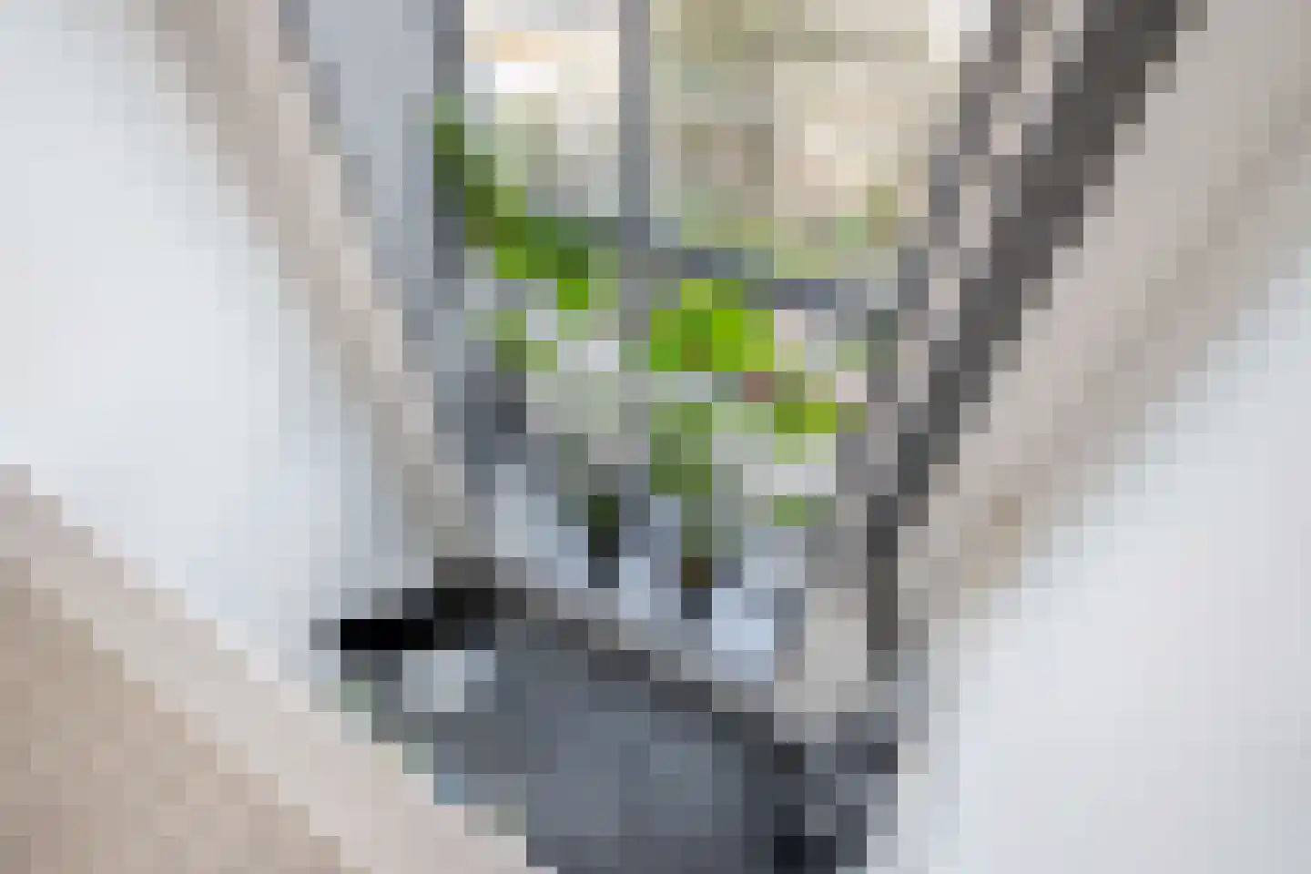 Friendshipring 98 Nootdorp thumbnail 34