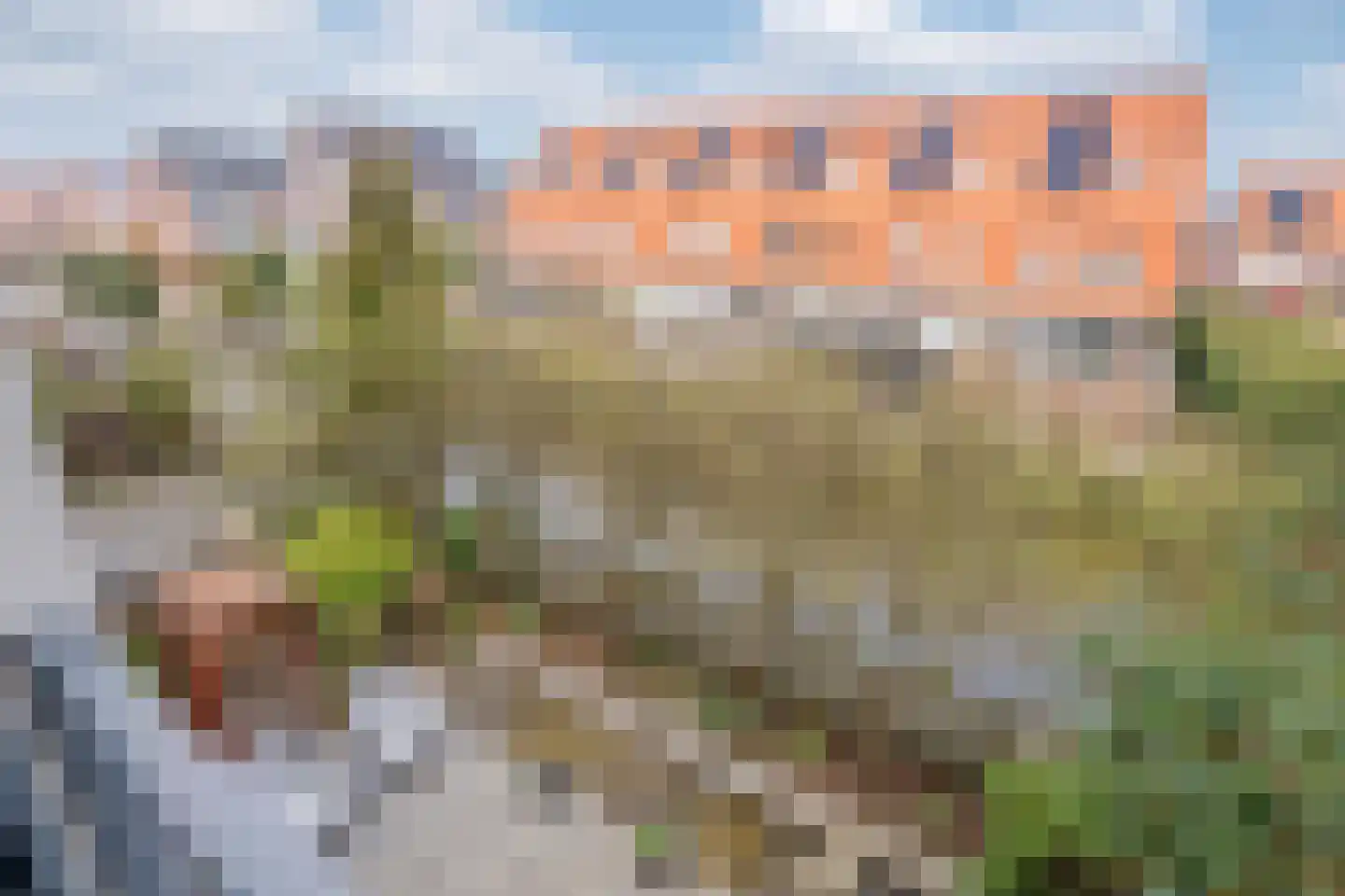 Friendshipring 98 Nootdorp thumbnail 35
